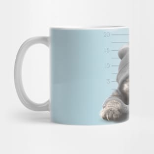 Prisoner Mug